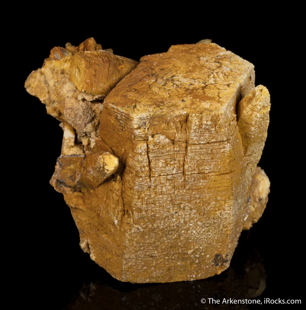 Parisite - image 8