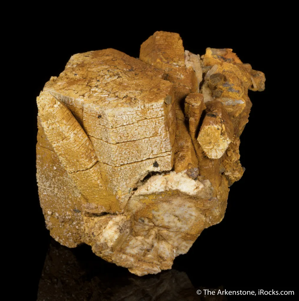 Parisite - image 7