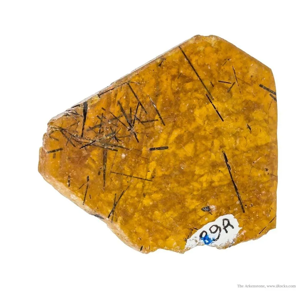 Parisite - image 3