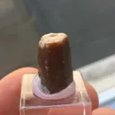 Parisite-(Ce) - image 4