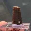 Parisite-(Ce) - image 4