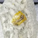 Parisite-Ce with Allanite-Ce, Dolomite - image 1
