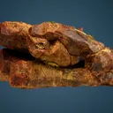Parisite-(Ce)  with Annabergite - image 3