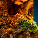 Parisite-(Ce)  with Annabergite - image 2