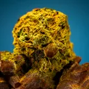 Parisite-(Ce) with Annabergite after Gersdorffite - image 2
