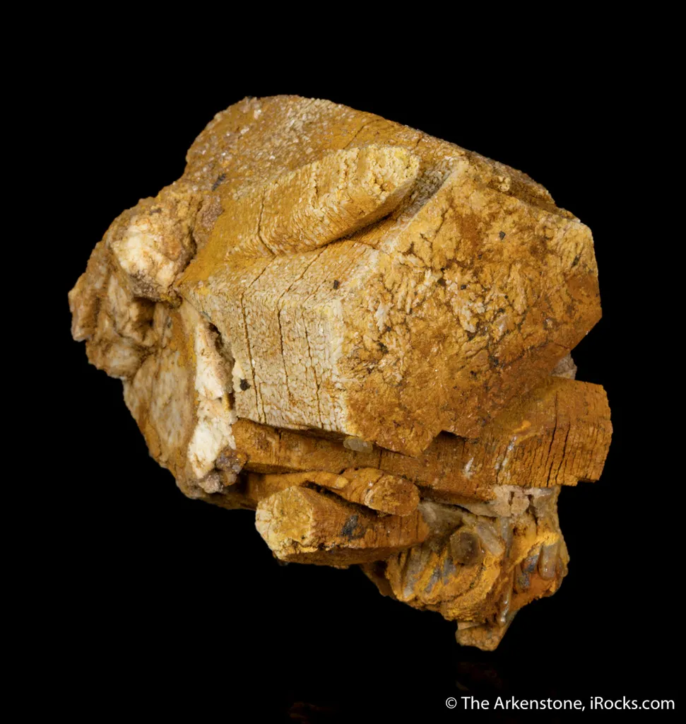 Parisite - image 5