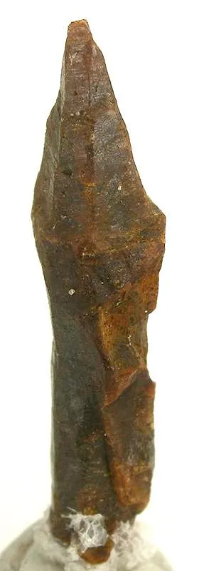 Parisite - image 2