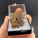 Parisite from Montana, USA - image 2