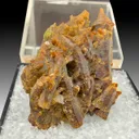 Parisite from Montana, USA - image 1