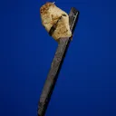 Parisite on Aegirine - image 3
