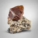 Parisite on Matrix - image 2