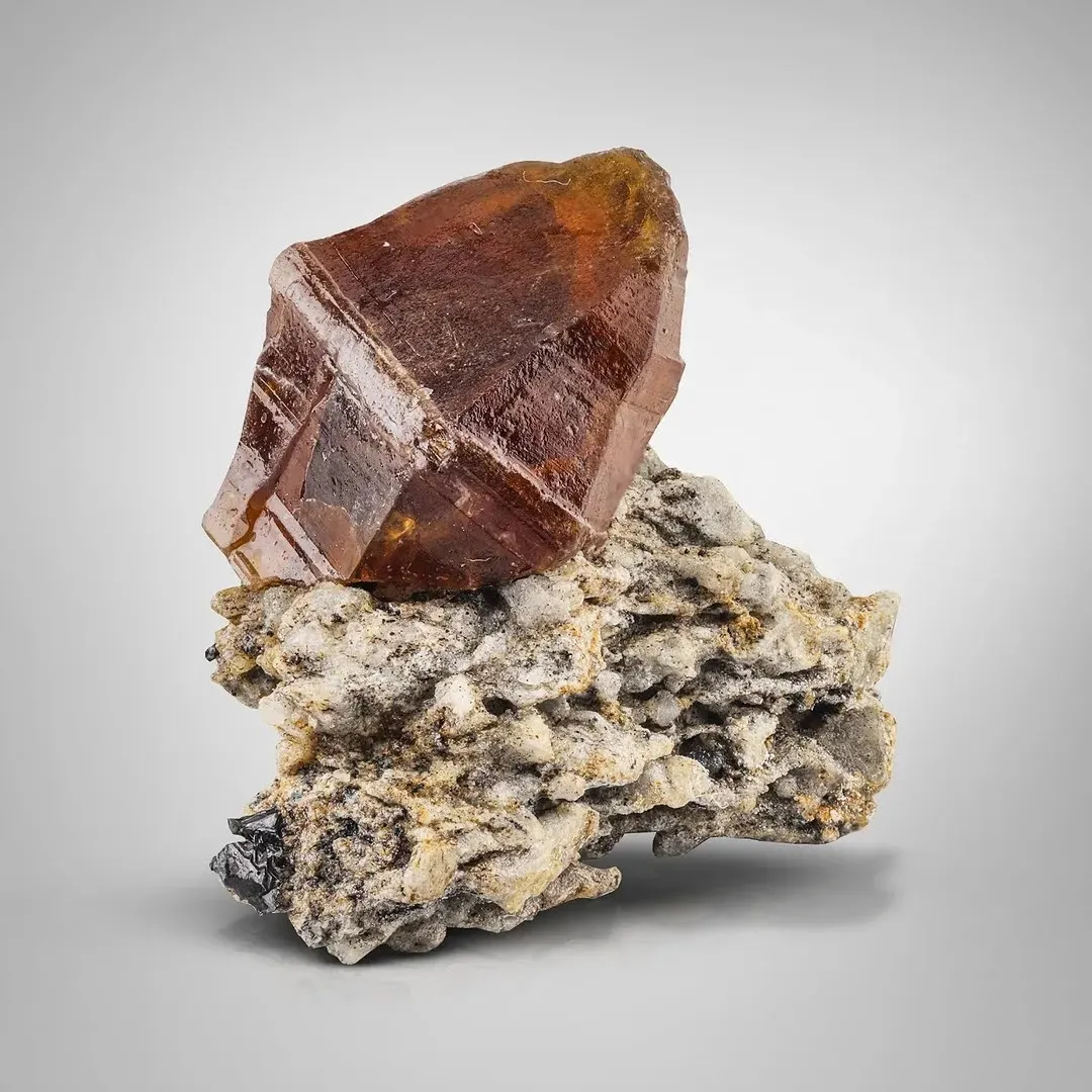 Parisite on Matrix - image 2