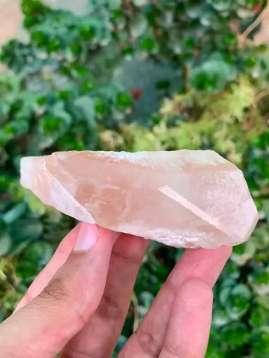 specimen video