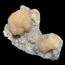 Peach Stilbite Ball Cluster on Blocky Clear Apophyllite Matrix – Rare Indian Zeolite Mineral Specimen from Nashik - image 4