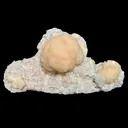 Peach Stilbite Ball Cluster on Blocky Clear Apophyllite Matrix – Rare Indian Zeolite Mineral Specimen from Nashik - image 1