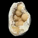 Peach Stilbite Clusters in Shimmering Chalcedony Geode Vug – Premium Indian Zeolite Mineral Specimen from Nashik - image 2