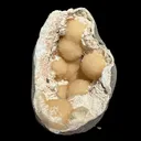 Peach Stilbite Clusters in Shimmering Chalcedony Geode Vug – Premium Indian Zeolite Mineral Specimen from Nashik - image 4