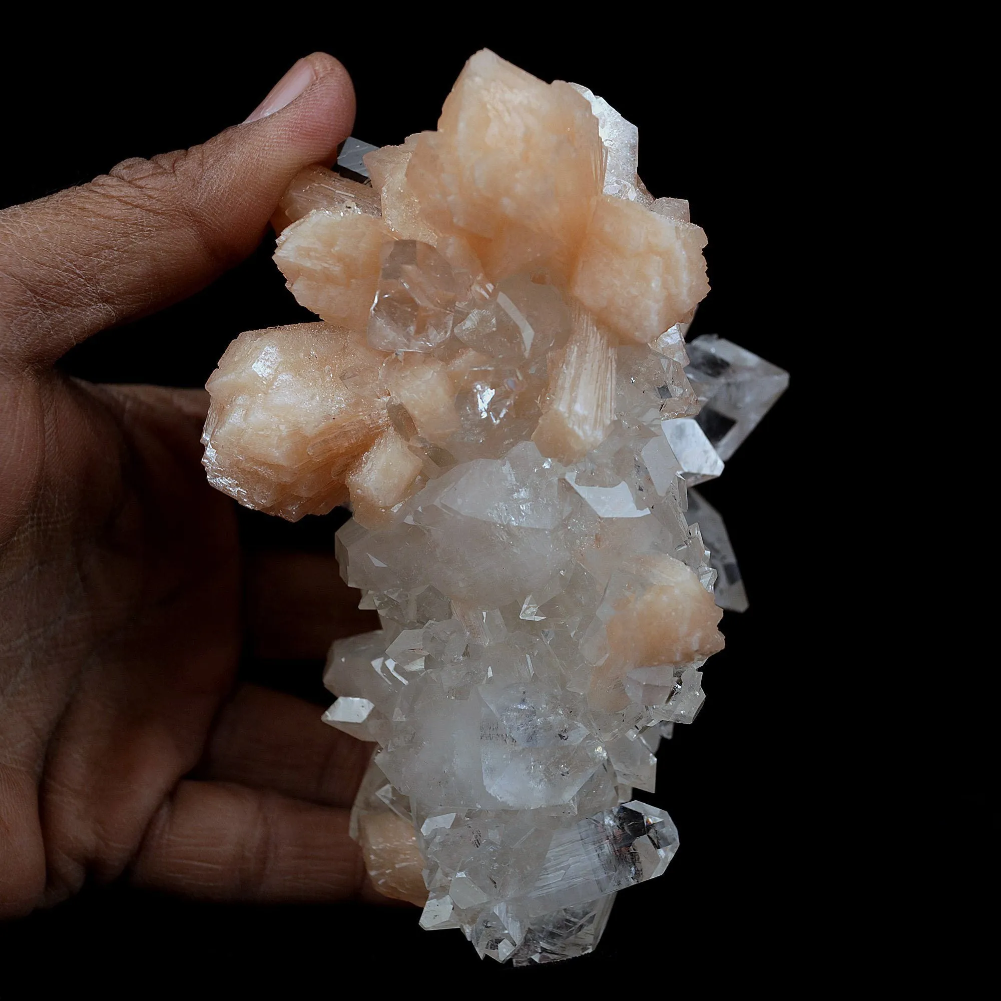 Peach Stilbite on Sprakling Apophyllite Crystals Natural Mineral Specimen - image 3