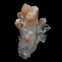 Peach Stilbite on Sprakling Apophyllite Crystals Natural Mineral Specimen - image 5