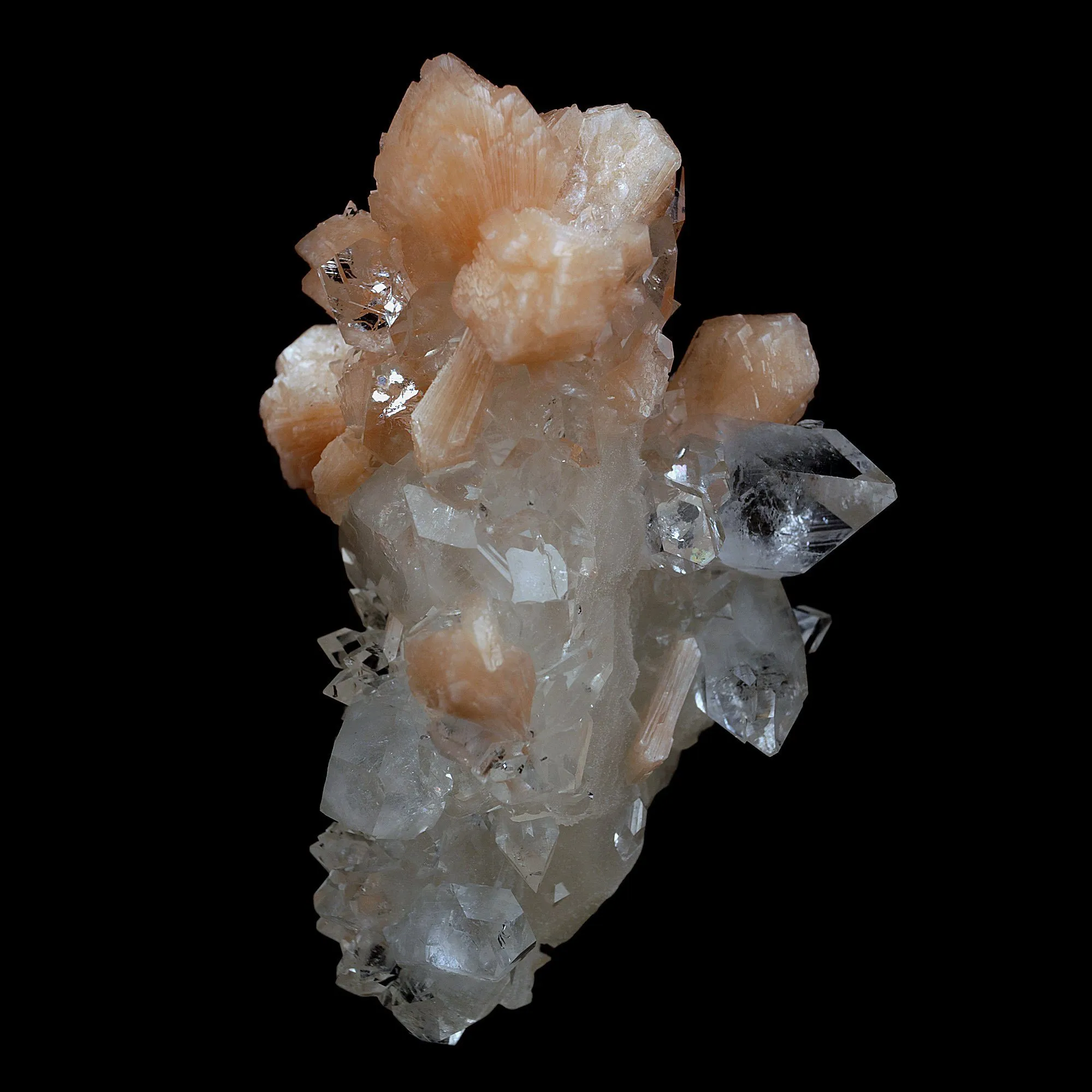 Peach Stilbite on Sprakling Apophyllite Crystals Natural Mineral Specimen - image 5
