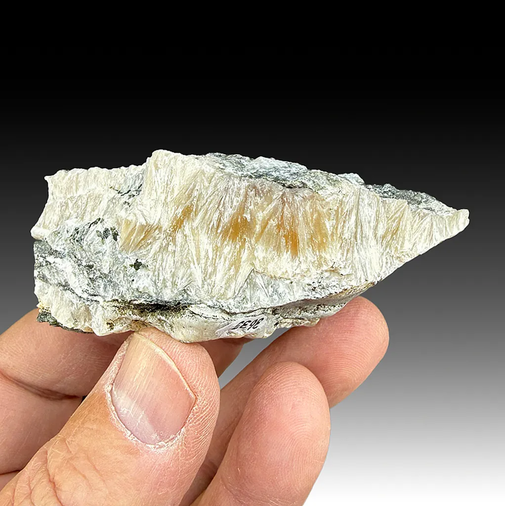 Pectolite image