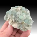 Pectolite from Prospect Park Quarry, Prospect Park, New Jersey, USA - image 1