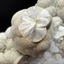 Pectolite from USA, New Jersey, Passaic County, Paterson, Upper New Street Quarry - image 2