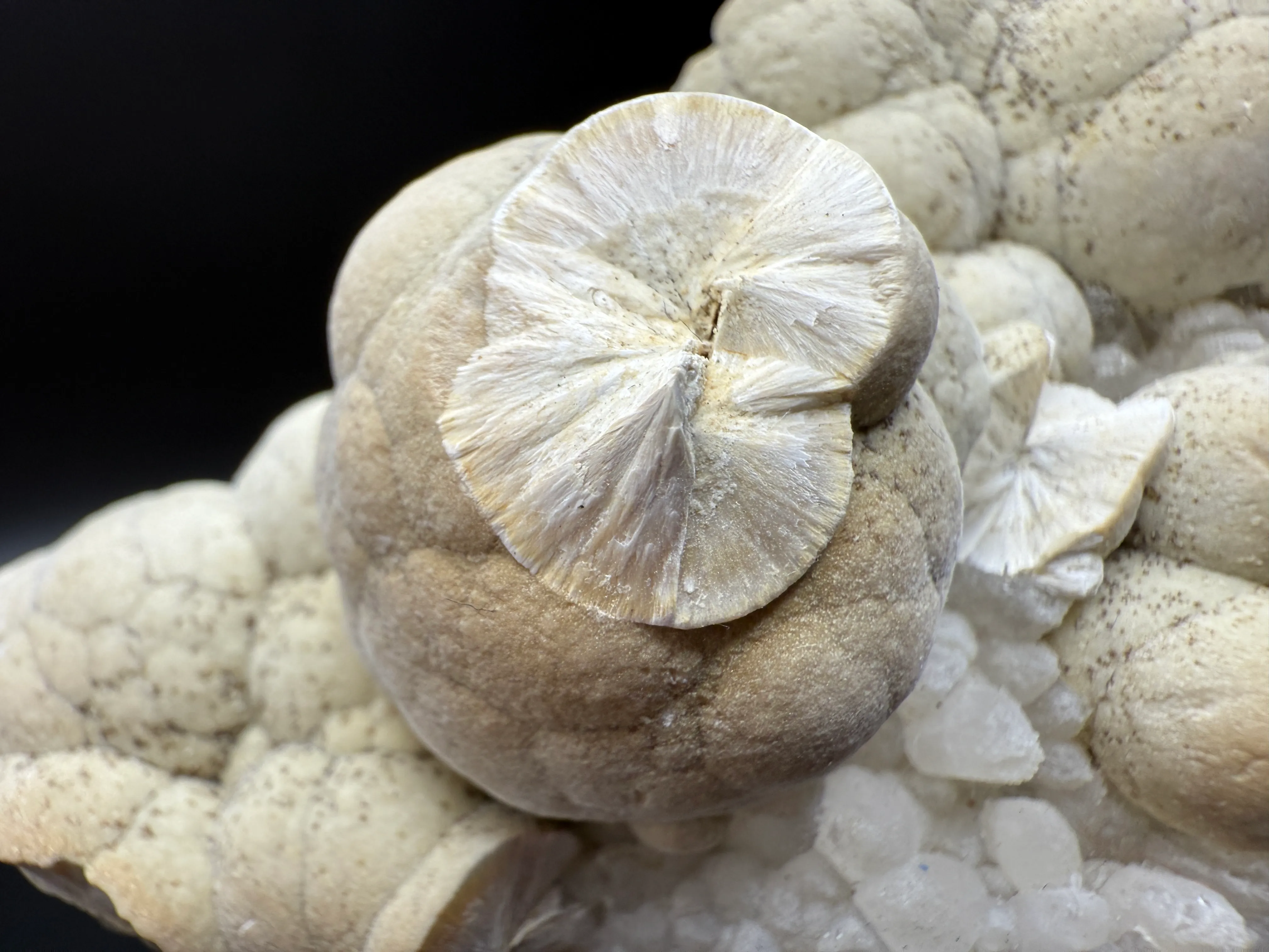 Pectolite from USA, New Jersey, Passaic County, Paterson, Upper New Street Quarry - image 2