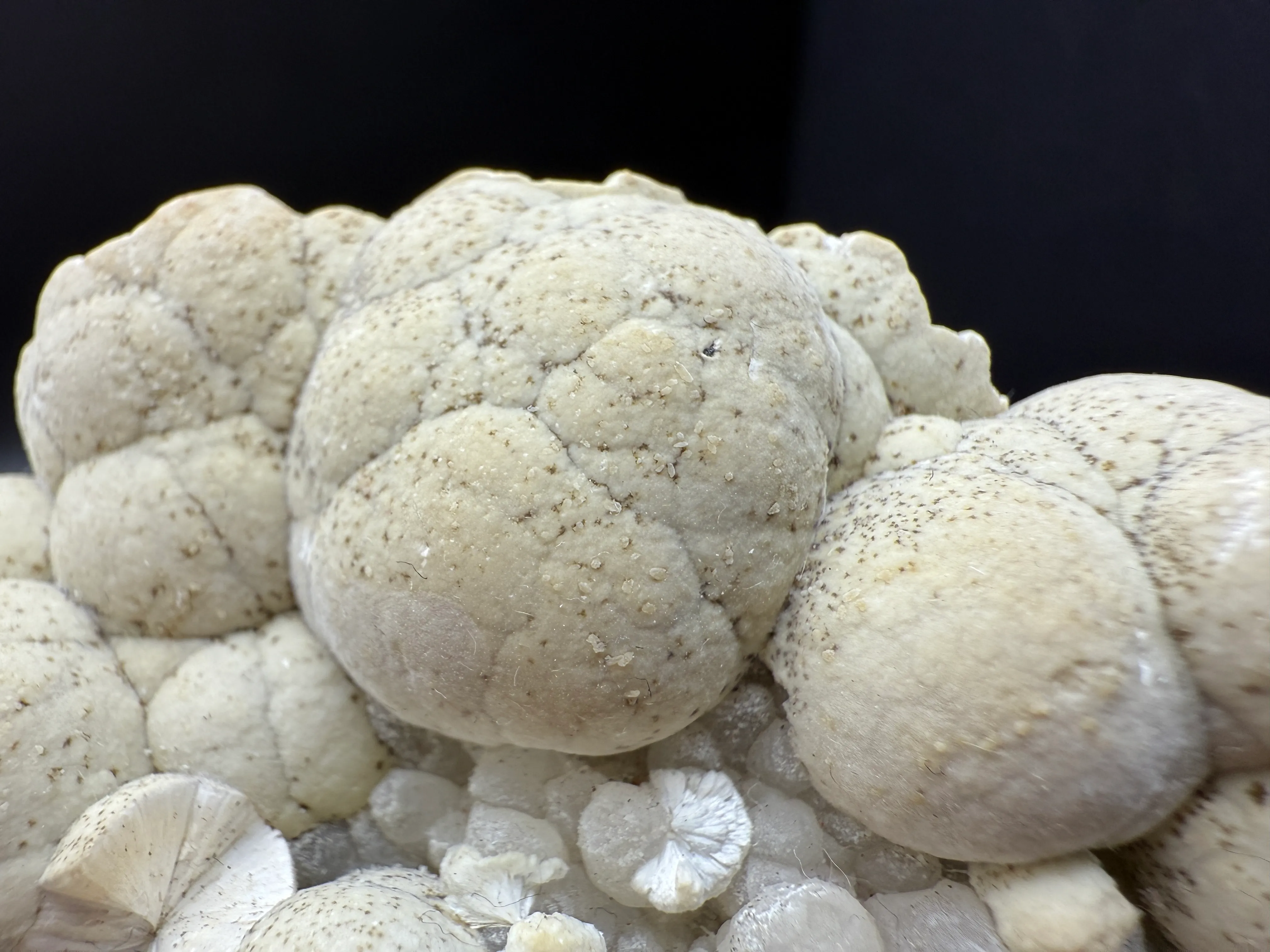 Pectolite from USA, New Jersey, Passaic County, Paterson, Upper New Street Quarry - image 3