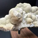 Pectolite from USA, New Jersey, Passaic County, Paterson, Upper New Street Quarry - image 8