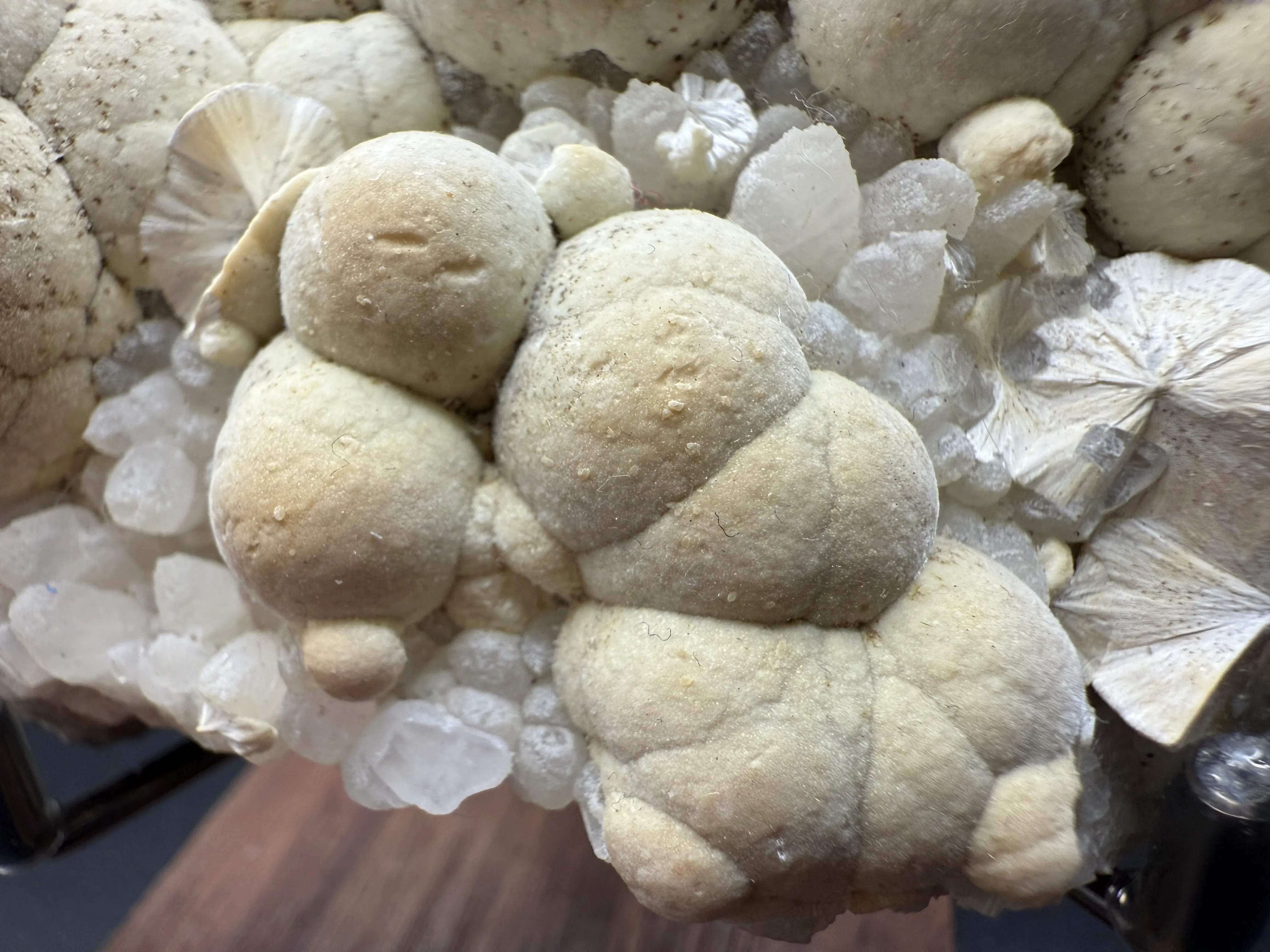 Pectolite from USA, New Jersey, Passaic County, Paterson, Upper New Street Quarry - image 4