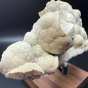 Pectolite from USA, New Jersey, Passaic County, Paterson, Upper New Street Quarry - image 7