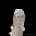 Pectolite (rare euhedral crystal) - image 3