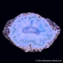 Pectolite var. Larimar ps. Cycad fossil stem - image 3