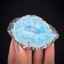 Pectolite var. Larimar ps. Cycad fossil stem - image 1