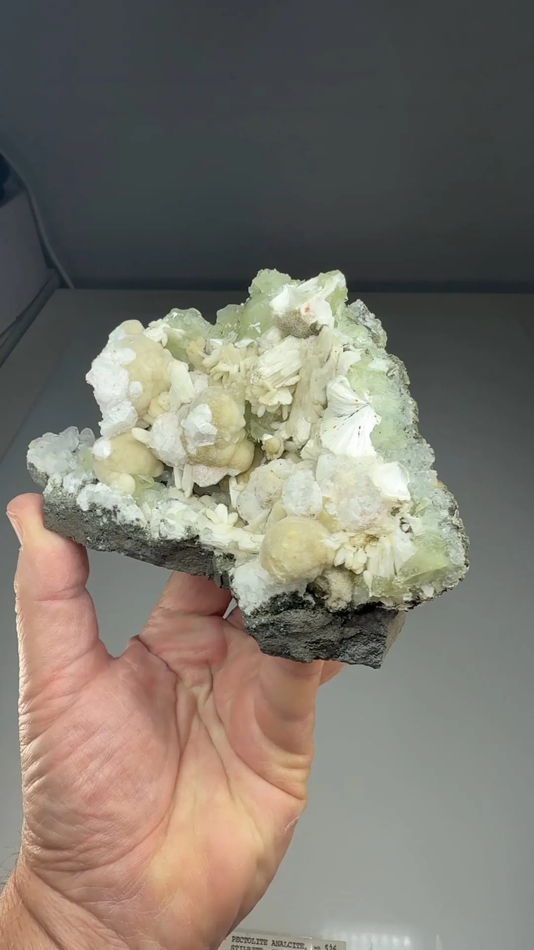 Pectolite with Analcime, Stilbite, Datolite, Calcite, Prehnite - image 2
