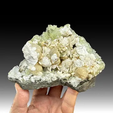 Pectolite with Analcime, Stilbite, Datolite, Calcite, Prehnite