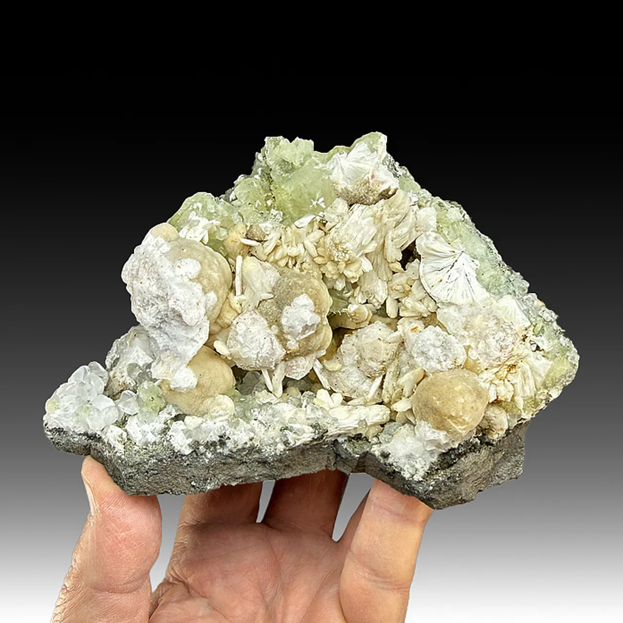 Pectolite with Analcime, Stilbite, Datolite, Calcite, Prehnite - image 1
