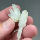 Pectolite with Calcite, Grossular - image 2