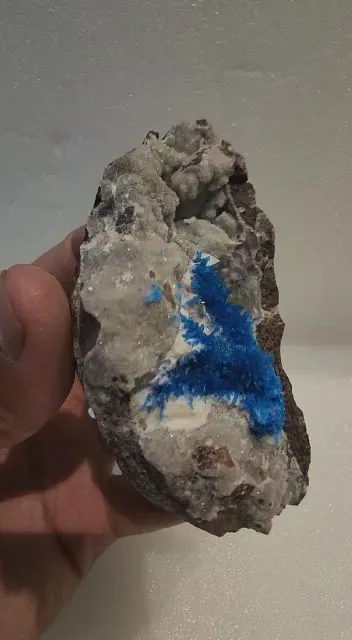 specimen video