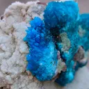 Pentagonite and Cavansite together. on  matrix - image 3
