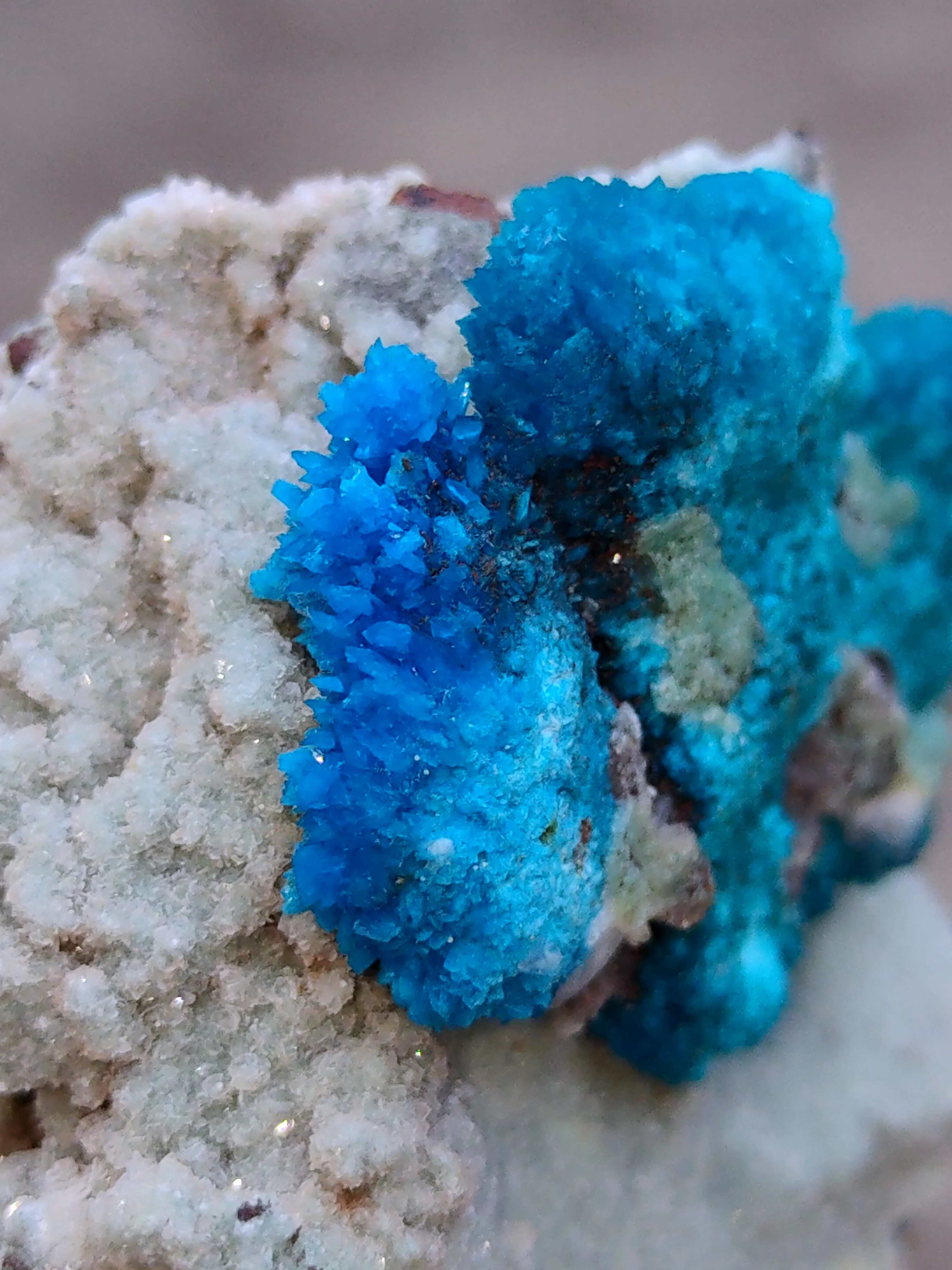 Pentagonite and Cavansite together. on  matrix - image 3