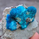 Pentagonite and Cavansite together. on  matrix - image 4