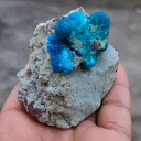 Pentagonite and Cavansite together. on  matrix - image 7