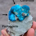 Pentagonite and Cavansite together. on  matrix - image 2