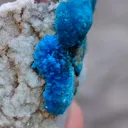 Pentagonite and Cavansite together. on  matrix - image 6