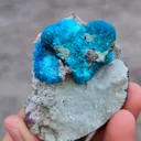 Pentagonite and Cavansite together. on  matrix - image 8
