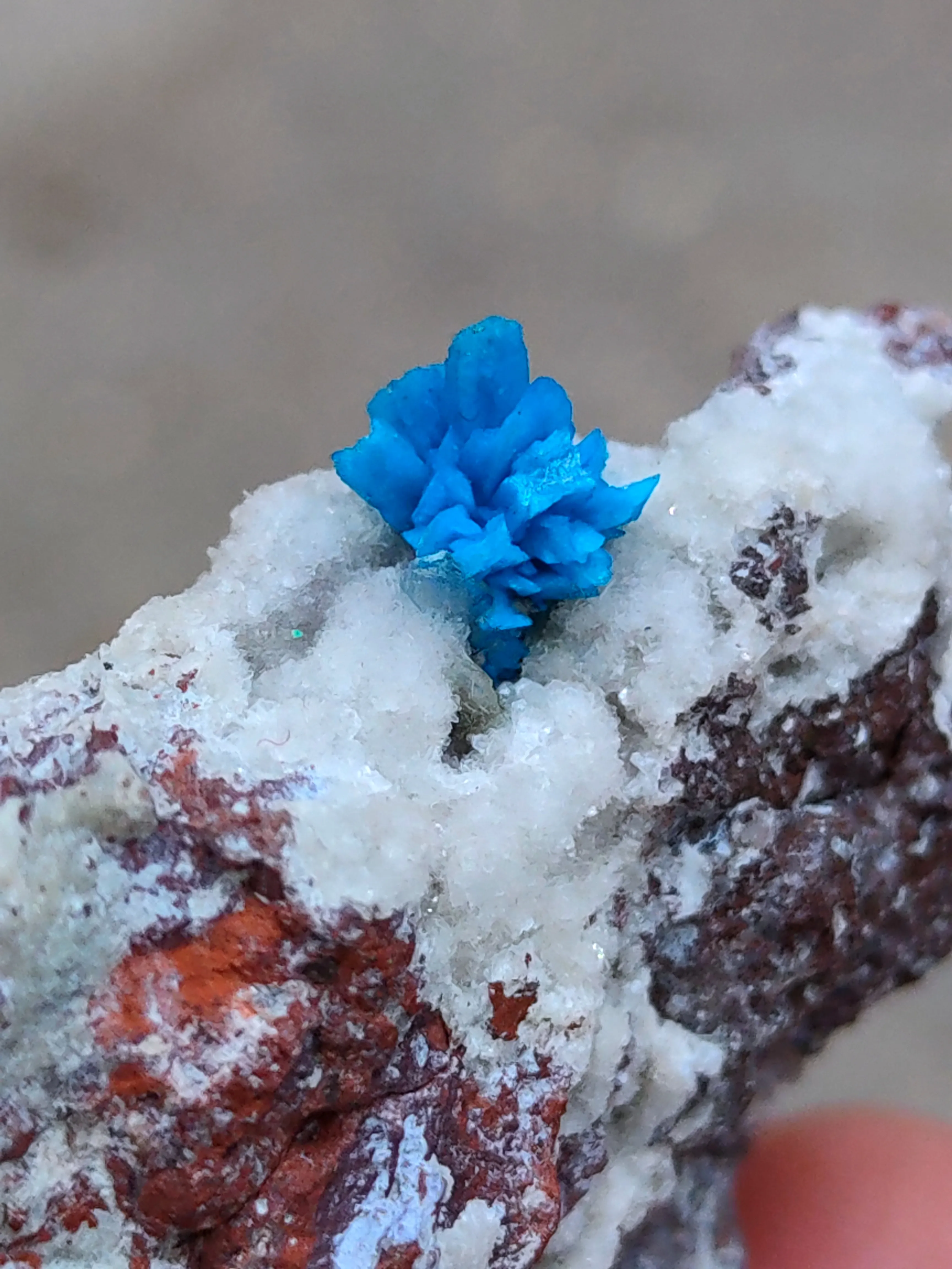 Pentagonite Flower on Heulandite matrix - image 3