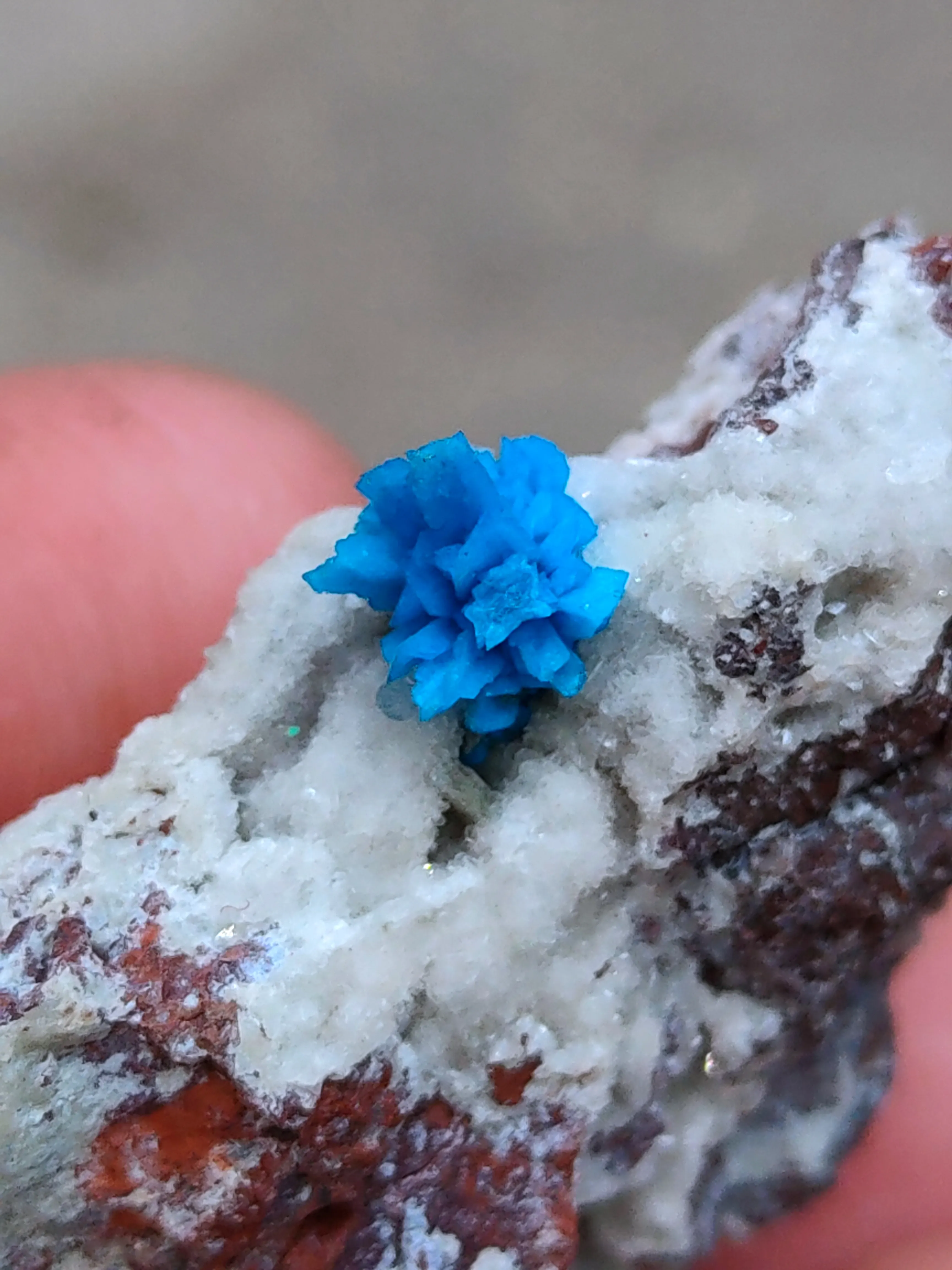 Pentagonite Flower on Heulandite matrix - image 5