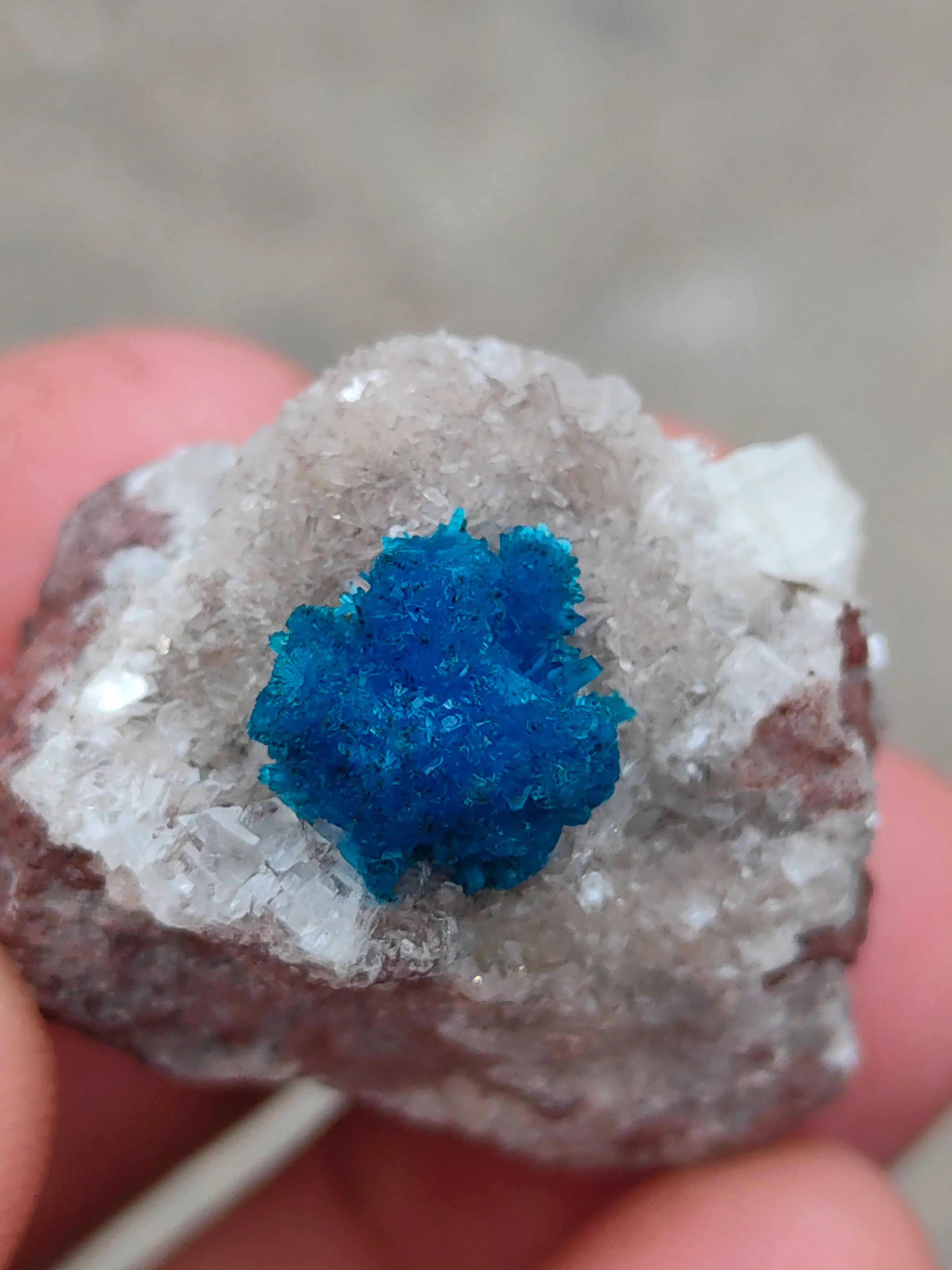 Pentagonite Flower on Heulandite matrix - image 4